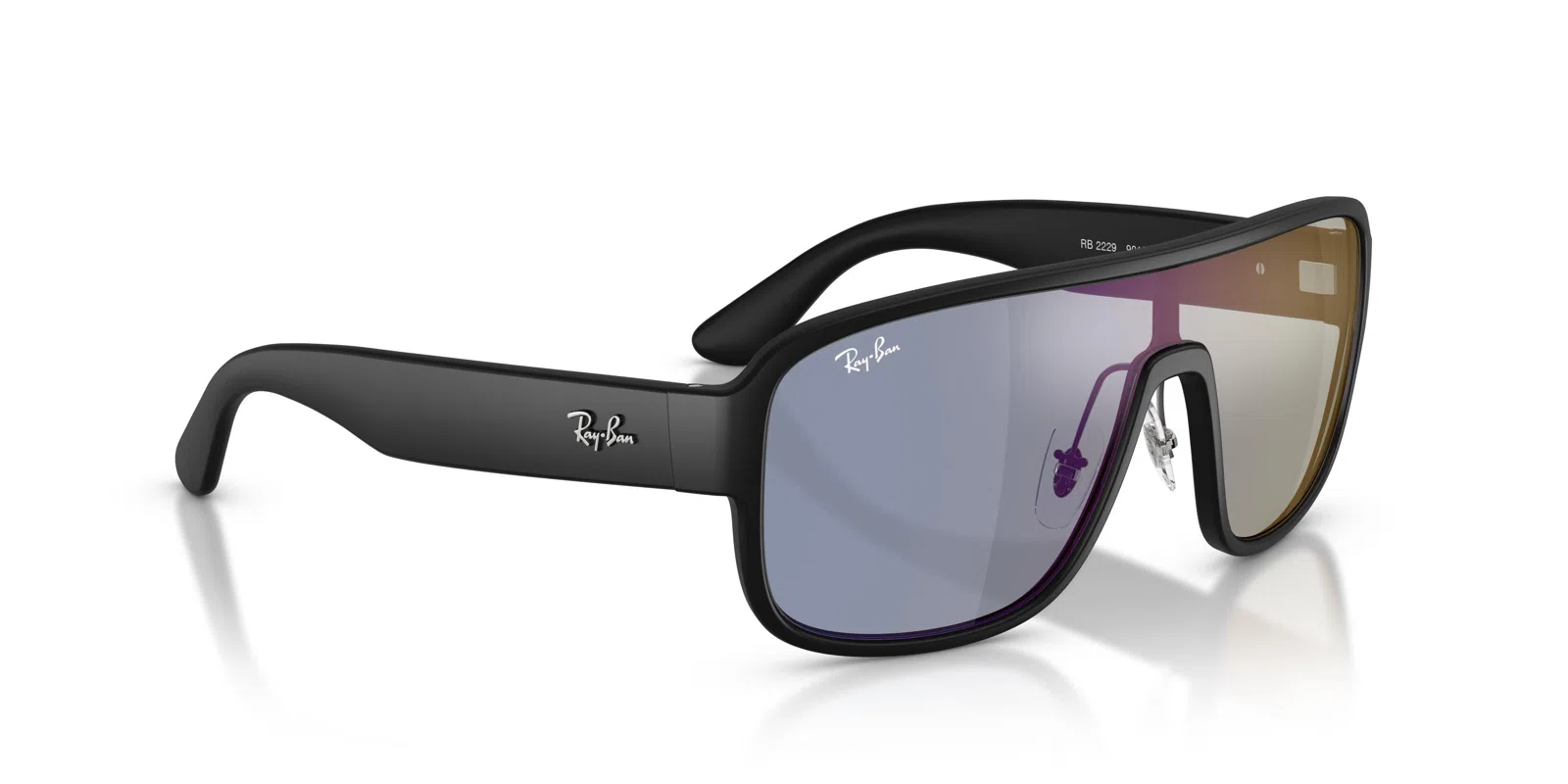 Ray-Ban 2229 Sunglasses - view 16